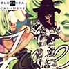 blue_area_pr
