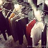 thinple_showroom_pr